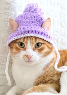 an orange and white cat wearing a purple knitted hat