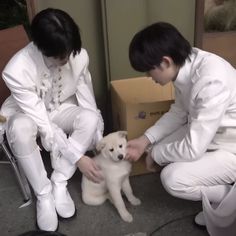 two people kneeling down petting a small white dog in front of a cardboard box