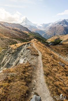 a trail in the mountains with snow capped mountains in the backgrouds and grass on either side