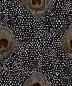 an image of a peacock's feathers with spots on it and dots in the background