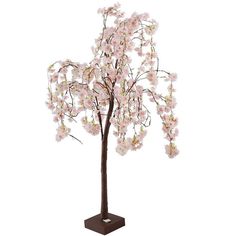 a small tree with pink flowers on it's branches and no leaves in front of a white background