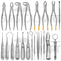 Surgical Mart 21 Pcs Basic Oral Dental Surgery Extraction Elevators Froceps Set Kit Premium Quality Tungsten Carbide 21 Pcs Basic Oral Dental Surgery Extraction Elevators Forceps Set German Grade Stainless Steel Root Surgery Dental Instruments Set. This 21 Pcs dental instrument set is expertly designed to meet all your oral dental surgery needs. We have high-quality, robust structure, and ergonomic design oral dental extraction surgery tools pack with enhanced precision making dental surgical pr Laboratory Tools, Dental Assistant School, Dental Assistant Study, Dental Extraction, Dental Student, Dental Instruments, Dental Surgery, Dental Assistant