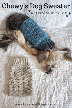 a dog wearing a sweater laying on top of a bed next to a crocheted hat