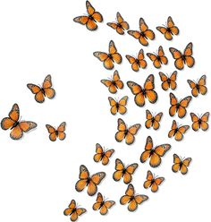 PRICES MAY VARY. 3 Different Sizes for Multiple Chooses: these butterfly wings for crafts are designed in 3 sizes, including 8 cm/ 3.15 inches for 48 pieces, 10 cm/ 3.94 inches for 28 pieces, and 12 cm/ 4.72 inches for 24 pieces, various sizes can meet your different demands, you can choose the one you like for a nice decoration, matching your personal items well Reliable and Practical to Use: these monarch butterfly decorations are made of quality PVC plastic material, realistic, colorfast, rel Wall Decor For Classroom, Fake Butterflies, Decor For Classroom, Bedroom Birthday, Butterfly Decoration, Halloween Classroom, Bedroom Orange, Artificial Fruit, Butterfly Wall Decor