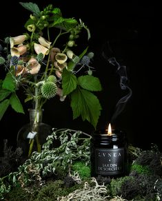 A lit Jardin de Sorcière candle displayed on a bed of moss, with a bouquet of native garden flowers in the background. Moss Candle, Botanical Perfume, Plant Magic, Bulk Herbs, Herb Gardens, Oil Candle, Magical Herbs, Herbal Tinctures, Natural Soy Wax Candles