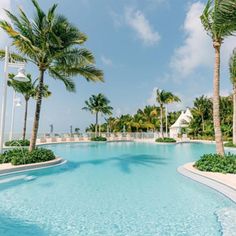 an empty swimming pool surrounded by palm trees