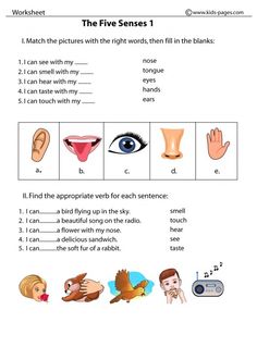 worksheet with pictures and words to describe the five sensess, including an eye