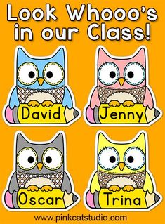 three owls with the words look who's in our class