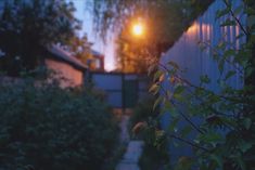 the light is shining brightly in the distance behind some bushes and trees, near a house