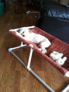 a dog laying in a bed on the floor