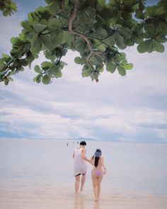 a man and woman walking on the beach under a leafy tree over looking the water