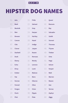 the top ten hipster dog names in purple and white, with blue circles around them