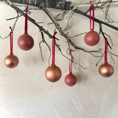 five ornaments hanging from a tree branch with red ribbons on them and one is empty