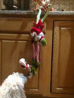 a white dog is looking at a christmas wreath hanging on the kitchen cabinet door handle