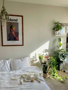 a white bed sitting in a bedroom next to a plant filled wall with pictures on it