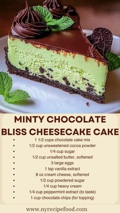 a piece of chocolate and mint cheesecake cake on a white plate