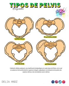 three different types of bats with the words tips de peviss in spanish and english