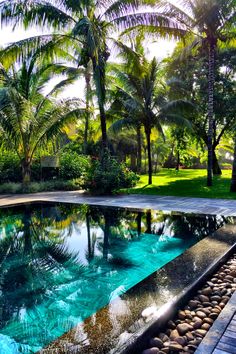 an outdoor swimming pool surrounded by palm trees and water features blue, green, and yellow colors