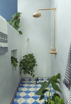 a bathroom with blue and white tiled flooring next to potted plants on the wall