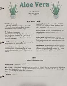 an aloe vera recipe is shown on a white paper with green plants in it