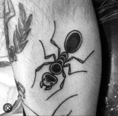 a black and white photo of a spider on the leg