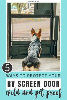 a dog looking at the screen door with text overlay that reads 5 ways to protect your rv screen door out and pet proof