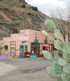 a cactus in front of a pink building