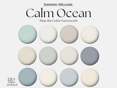 the color scheme for calm ocean is shown in shades of blue, gray and white