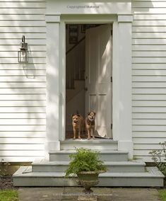 two dogs sitting on the front steps of a white house looking out at the yard