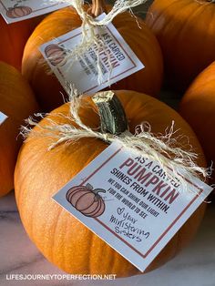 several pumpkins with labels on them sitting on a table