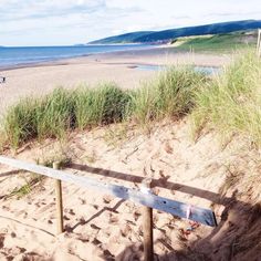 a wooden fence sitting on top of a sandy beach next to the ocean and grass