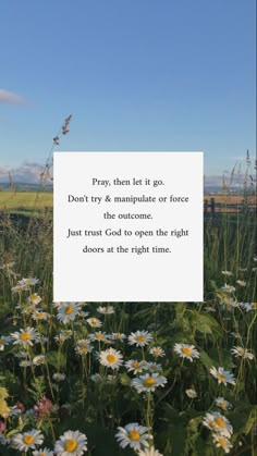 a field full of daisies with a quote about pray, then let it go