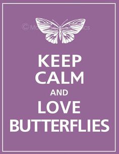 the words keep calm and love butterflies in white on a purple square frame with an image of