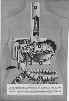 an old advertisement for the caterpillar wormel machine, with instructions on how to use it