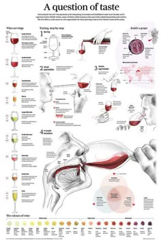 a wine tasting poster with different wines being poured into glasses and labeled in the text