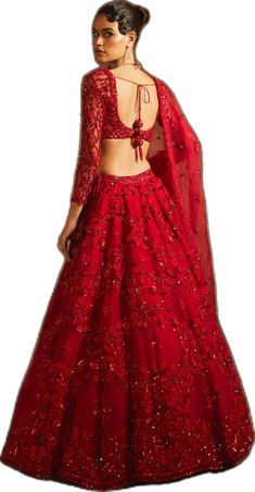 Blouse With Long Sleeves, Organza Lehenga, Embellished Blouse, Organza Dupatta, Sequins Embroidery, To Shine, Lehenga, Special Occasion, Long Sleeves