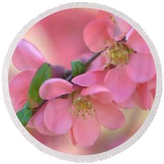 pink flowers with green leaves round beach towel featuring the photograph of pink flowers with green leaves