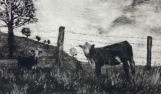 a black and white drawing of two cows in a field near a fence with barbed wire