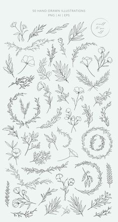 the hand drawn flowers and leaves collection