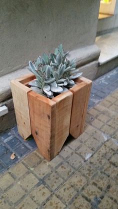 a wooden planter with a succulent in it on the side of a building