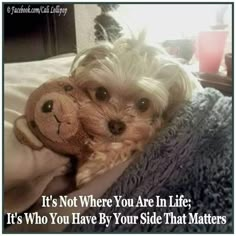 a small dog laying on top of a bed holding a teddy bear in its paws