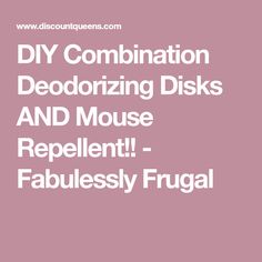 the words diy combination deodrizing disks and mouse repellent fabulessly