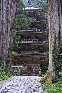 the pagoda is surrounded by tall trees and stone walkways that lead up to it