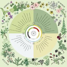 a circular diagram with flowers and plants on it