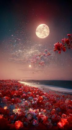 the moon is shining brightly in the night sky above flowers on the beach and water