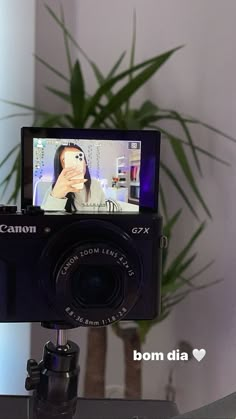 a camera sitting on top of a table next to a potted plant