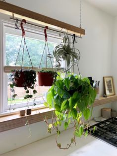 a potted plant hanging from a window sill in front of a stove top