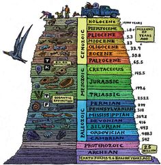 an illustrated diagram of the layers of human life