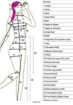 the measurements for a woman's body