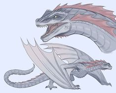 two different types of dragon like animals